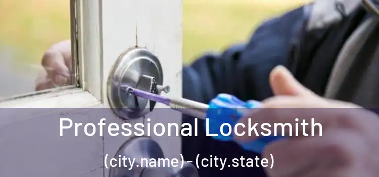 Professional Locksmith (city.name) - (city.state)